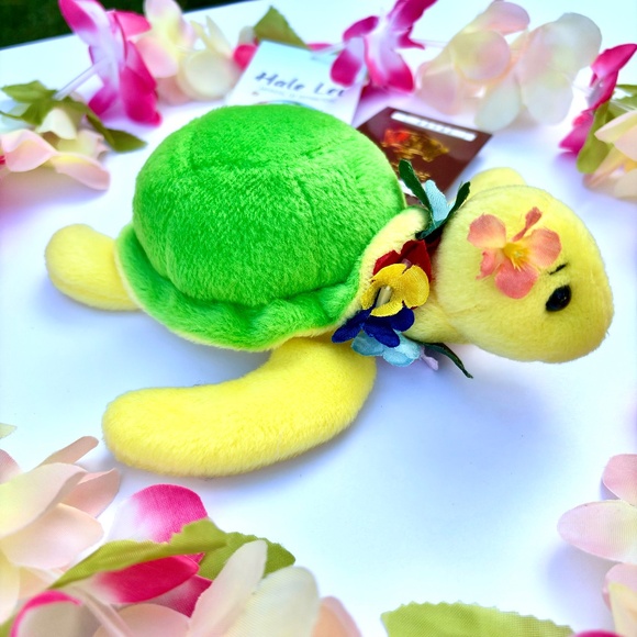 Adopt an Island Turtle - Aukai - Picture 1 of 4